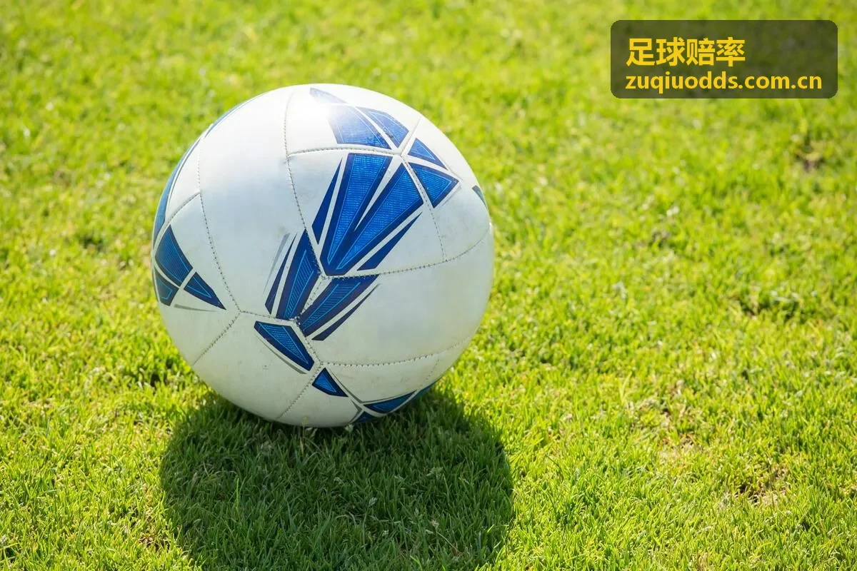 五大联赛足球赔率汇总